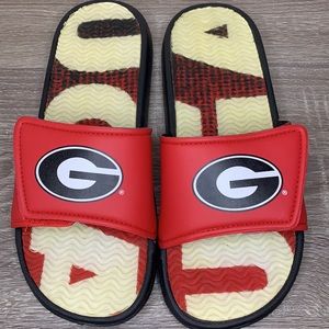 Georgia Bulldog Slides